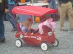 DSC05592.JPG
